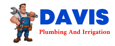 Trusted plumber in PEDRO